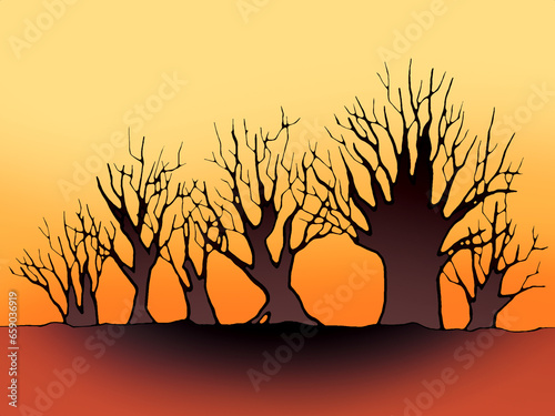 Fototapeta Naklejka Na Ścianę i Meble -  Dry trees at sunset