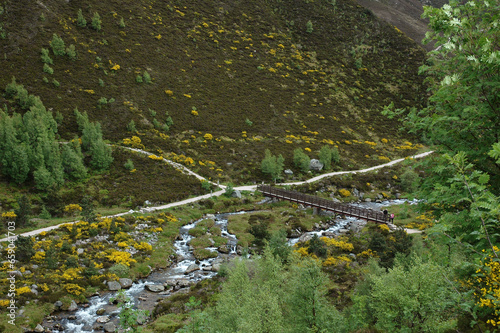 sentiers de randonnées; Réserve naturelle nationale; Monts Cairngorms; Ecosse;.Grande Bretagne