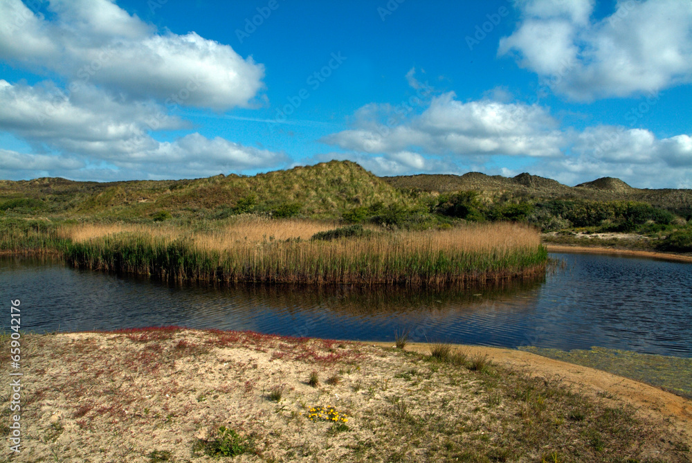 Réserve naturelle , Ile de Terschelling , Mer de Wadden, Pays Bas