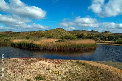 Réserve naturelle , Ile de Terschelling , Mer de Wadden, Pays Bas © JAG IMAGES