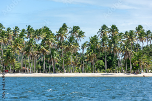 Carneiros Beach, Pernambuco, Brazil: Beautiful view of the palm trees and sea on the famous beach of Carneiros at the state of Pernambuco. 
Travel destination. Vacation travel. Tropical travel.