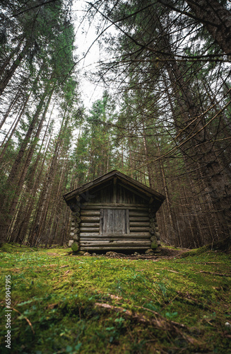 Mystical Hut in a Fairy Tale Forest