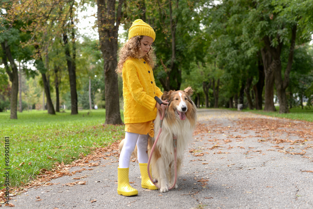 Happy little girl playing with Shetland Sheepdog in the park