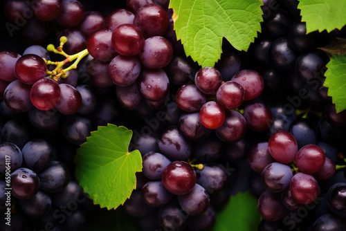 Fresh fruit brunch black grapes