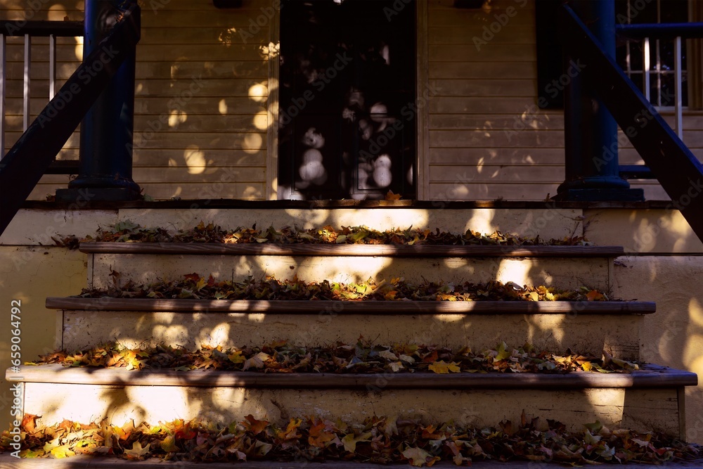 Autumn Leaves on Old Porch Steps in Winston-Salem