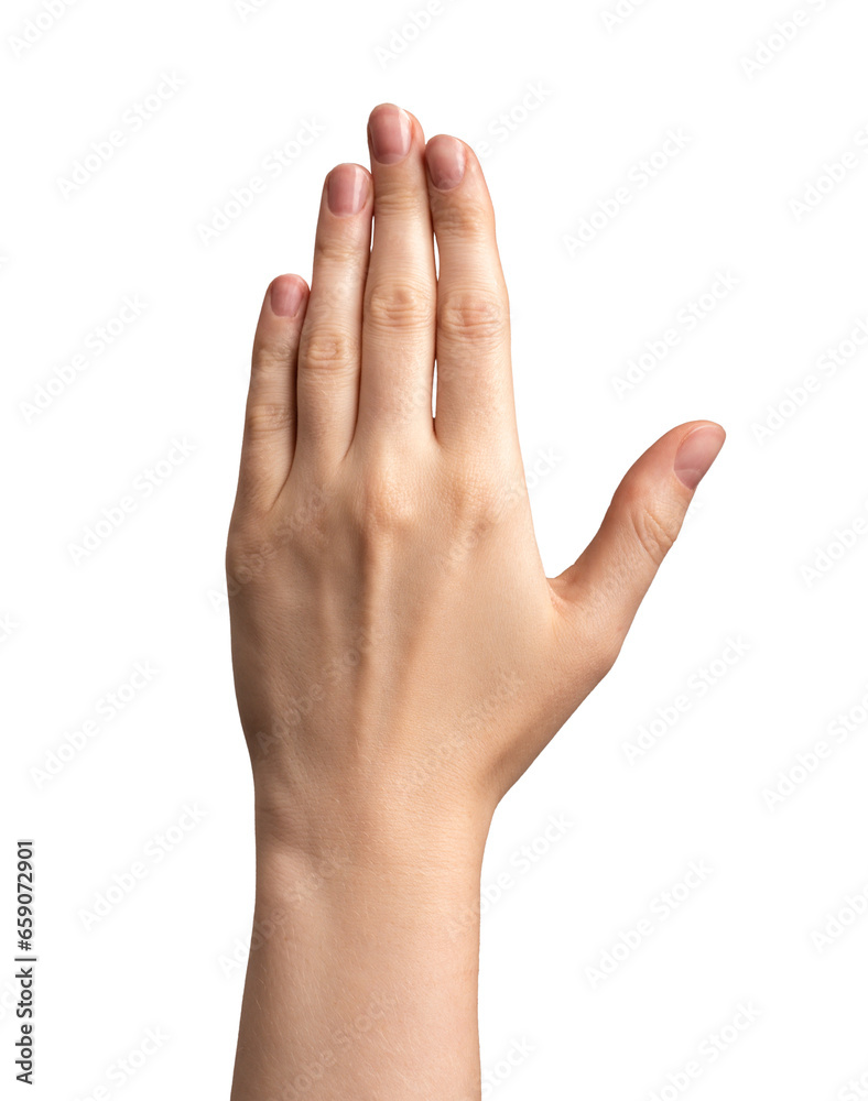 Back side of hand isolated on white background Back side of hand isolated on white background
