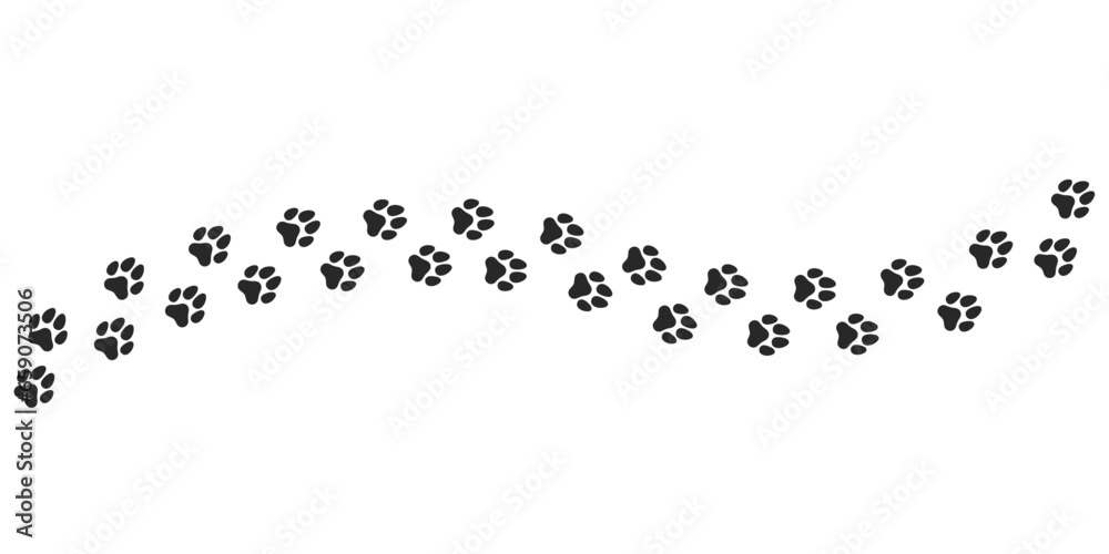 Paw vector foot trail print on white background. cat or Dog, path pattern animal tracks isolated on a white background Paw vector foot trail print on white background. cat or Dog, path pattern animal tracks isolated on a white background