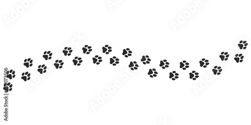 Paw vector foot trail print on white background. cat or Dog, path pattern animal tracks isolated on a white background