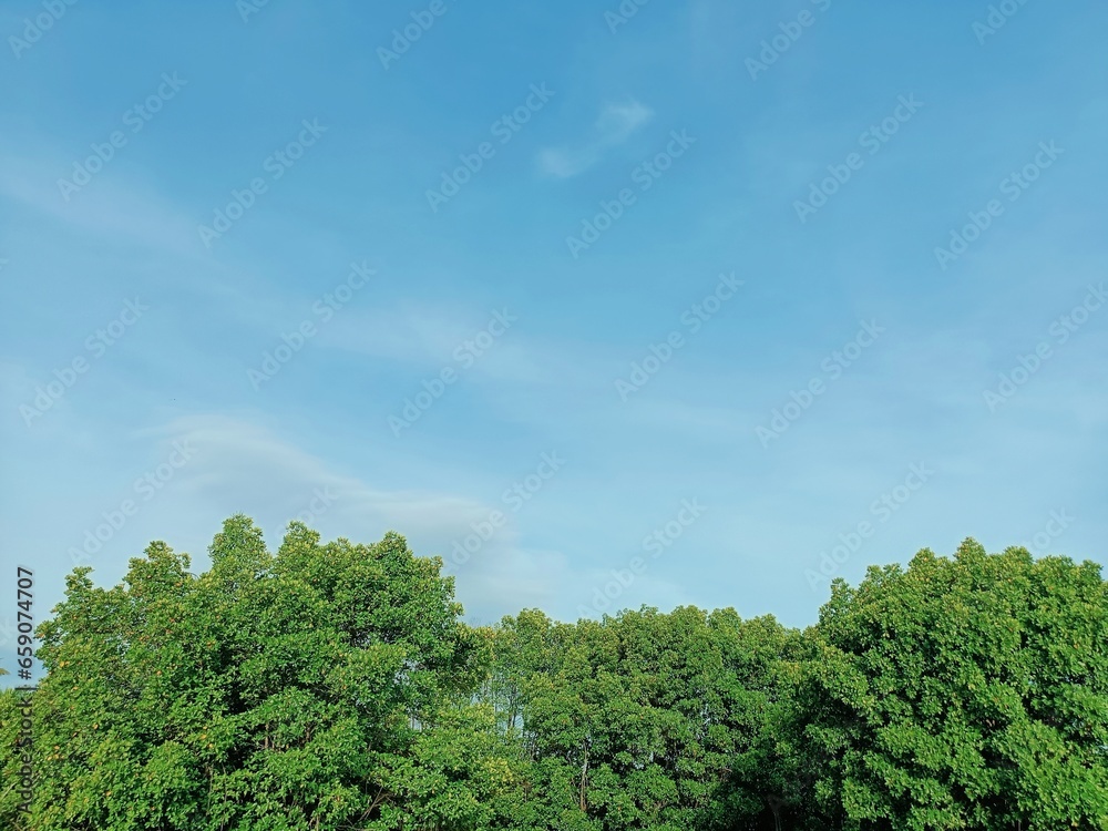 This small state is located in the southwestern tip of India This small state is located in the southwestern tip of India