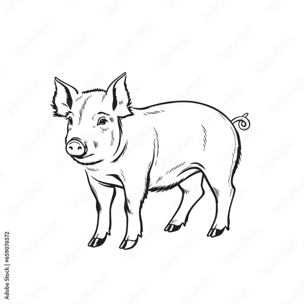 pig silhouette isolated on white background