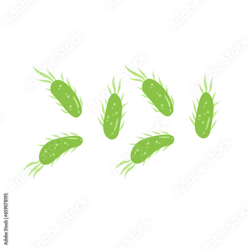 E. coli bacteria vector icon