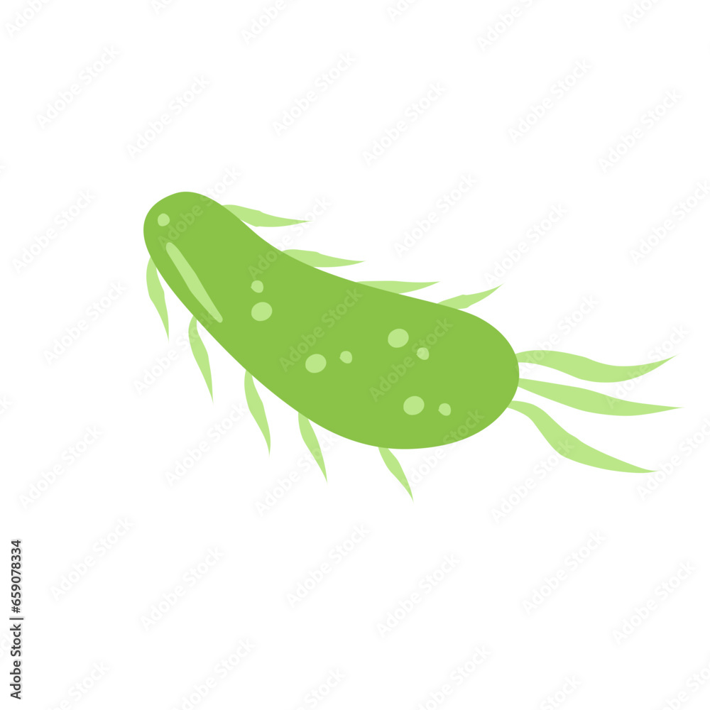 Naklejka premium E. coli bacteria vector icon