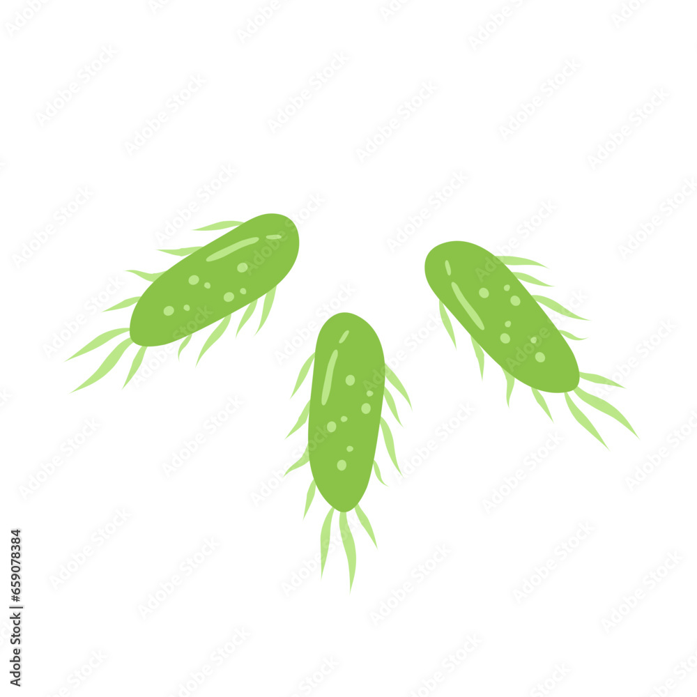 Naklejka premium E. coli bacteria vector icon