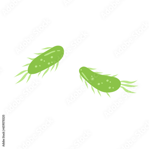 E. coli bacteria vector icon