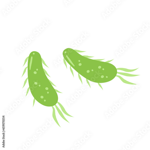 E. coli bacteria vector icon