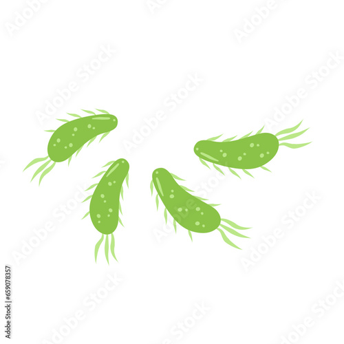 E. coli bacteria vector icon