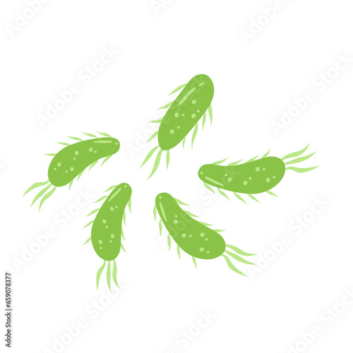 E. coli bacteria vector icon