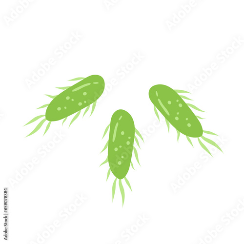 E. coli bacteria vector icon