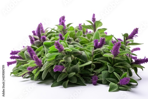 A vibrant bunch of fresh herbs, including sage, showcasing the beauty of nature's bounty.