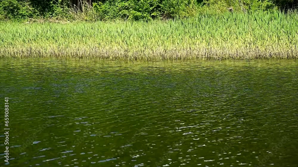 Picturesque places along the river, on a sunny summer day Picturesque places along the river, on a sunny summer day