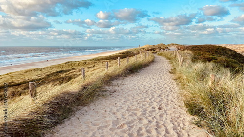 Dunes of Egmond aan Zee (Schoorlse Duinen) on the Dutch North Sea. Egmond aan Zee, the Netherlands, Europe.  photo