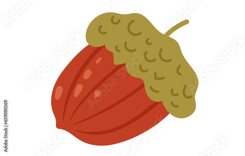 Nut seed isolated on white background concept. Vector flat graphic design illustration