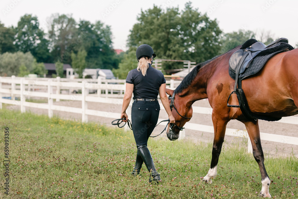 Female rider in equestrian clothes holding the reins and leading her beautiful saddled chestnut horse. Horseback riding activity concept. Female rider in equestrian clothes holding the reins and leading her beautiful saddled chestnut horse. Horseback riding activity concept.