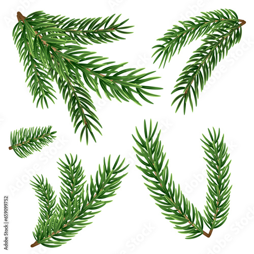 Spruce branches of different shapes and lengths on a transparent background. Set of different Christmas tree branches. Decor for christmas tree.