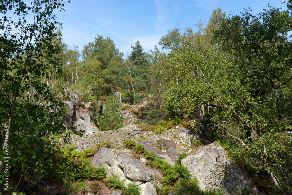 Old stone quarry in the  Apremont gorges. Fontainebleau forest