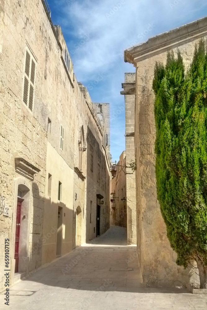 cityscape of Mdina