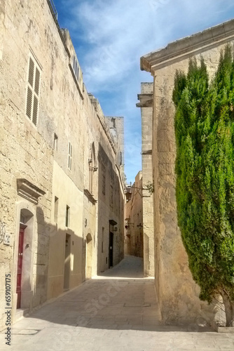 Fototapeta Naklejka Na Ścianę i Meble -  cityscape of Mdina