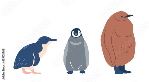Little Penguins, Or Blue Penguins, Are The Smallest Penguin Species. Fluffy Penguins Are An Endearing Term