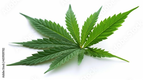 marijuana leaf clipart on white background.Generative AI