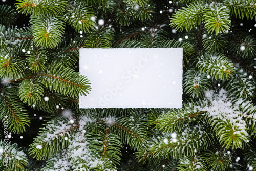 Top view of a blank greeting card lying on a background of fir branches.