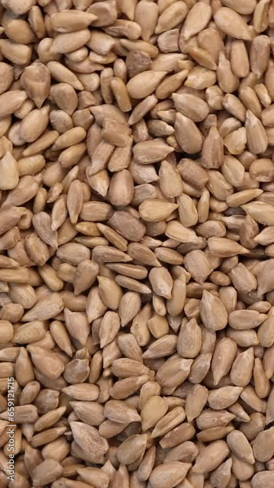 Peeled sunflower seeds, looped rotation Peeled sunflower seeds, looped rotation