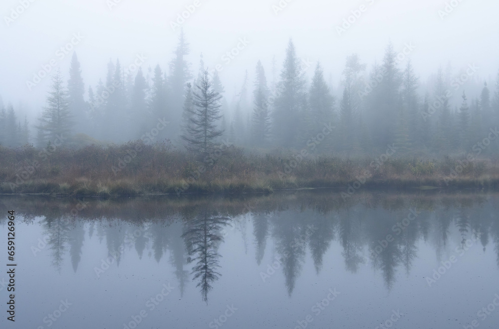 Cold misty morning in wetlands in Eastern Canada with mirror-like reflections on the water
