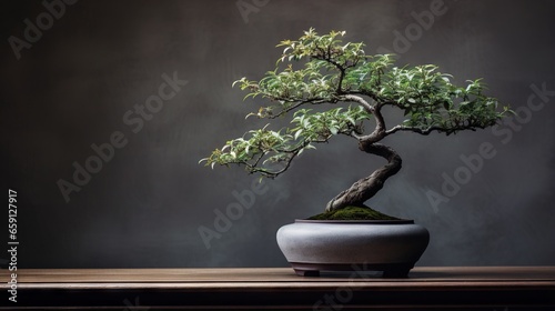  a bonsai tree in a white pot on a table.  generative ai