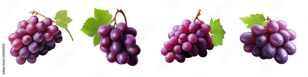 Fototapeta premium Purple Grapes clipart collection, vector, icons isolated on transparent background