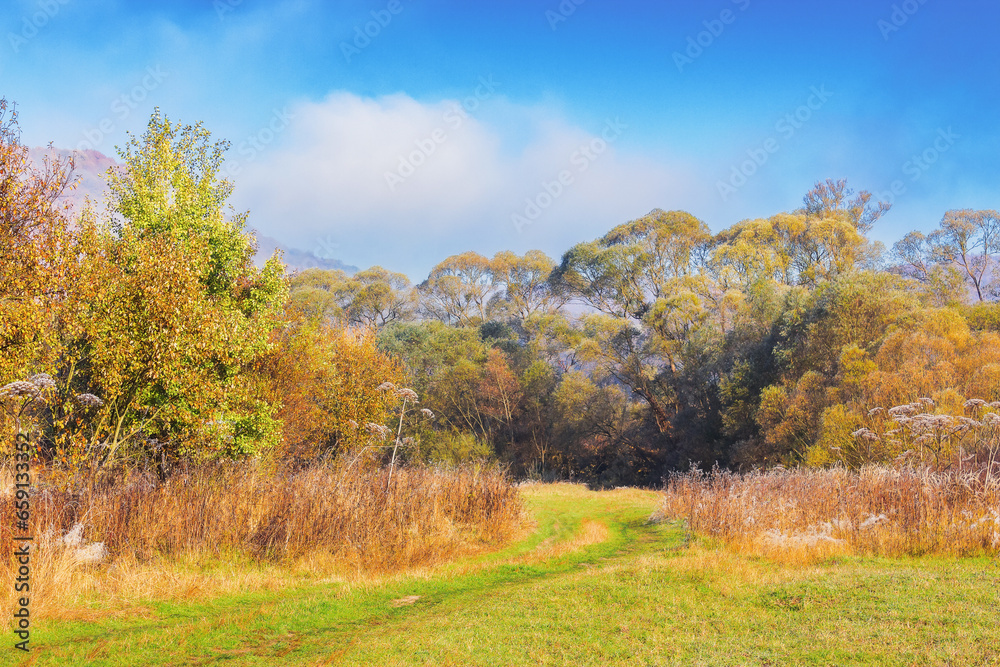 environmental landscape of rural area. mountainous countryside scenery in autumn. foggy weather trees in colorful foliage on a sunny day