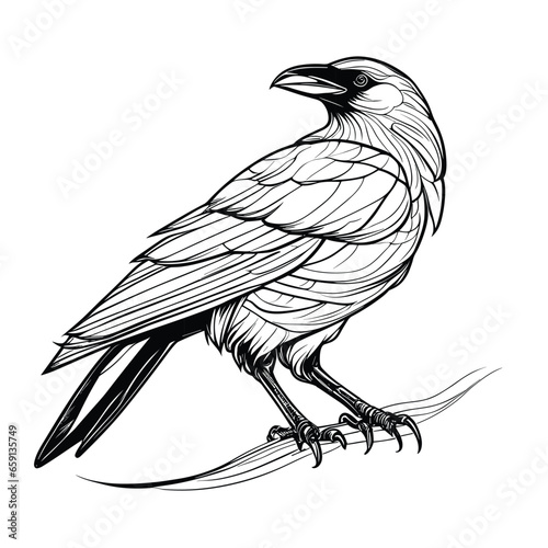 Hand Drawn Engraving Pen and Ink Crow Vintage Vector Illustration