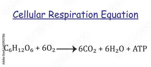 Cellular respiration equation isolated on white background.  Vector illustration.
