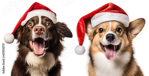 Santa-Hatted Brown Dogs: A Christmas Dog Compilation isolated on transparent background - Generative AI © Only Best PNG's