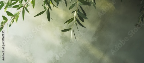 Canvastavla Nature inspired abstract concept with tree shadows on an olive green wall textur