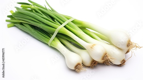 Spring Onions isolated on white background