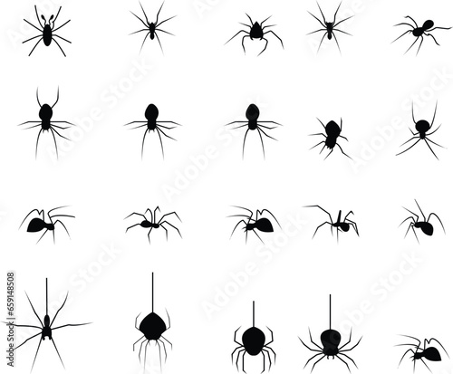 Spider Black Widow. Black bug spider silhouette, isolated white background. Scary Halloween icon, symbol horror, animal arachnid, creepy dangerous insect, arachnophobia fear © Rabia