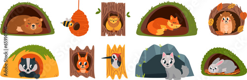 Animals inside burrows and hollows. Wild animal sleep, woodland children cute characters. For wolf in burrows, squirrel in hollow tree classy vector set