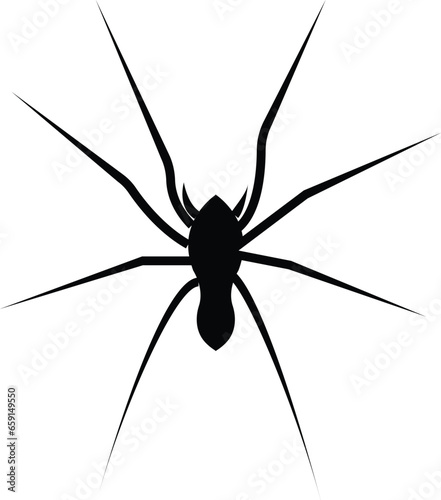 Spider Black Widow. Black bug spider silhouette, isolated white background. Scary Halloween icon, symbol horror, animal arachnid, creepy dangerous insect, arachnophobia fear