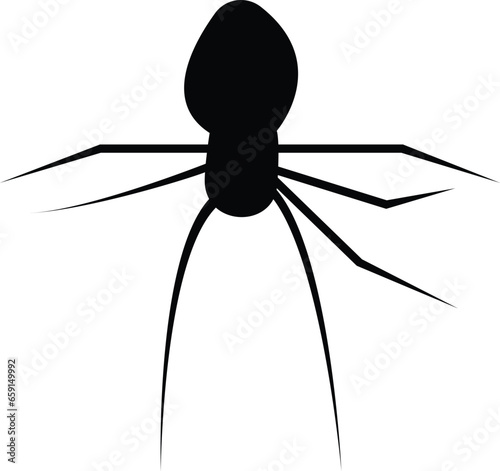 Spider Black Widow. Black bug spider silhouette, isolated white background. Scary Halloween icon, symbol horror, animal arachnid, creepy dangerous insect, arachnophobia fear