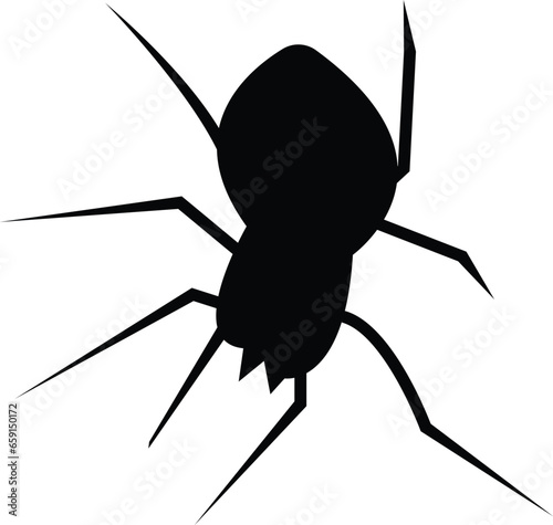 Spider Black Widow. Black bug spider silhouette, isolated white background. Scary Halloween icon, symbol horror, animal arachnid, creepy dangerous insect, arachnophobia fear