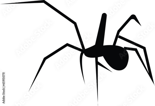 Spider Black Widow. Black bug spider silhouette, isolated white background. Scary Halloween icon, symbol horror, animal arachnid, creepy dangerous insect, arachnophobia fear